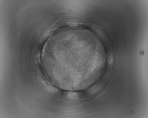 X0000110880332200907161508