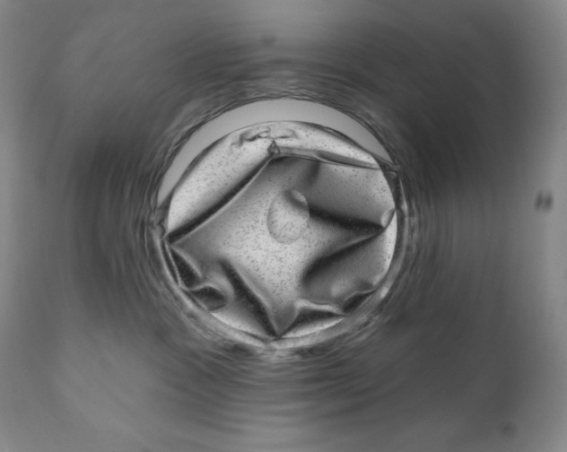 X0000110880333200907161508