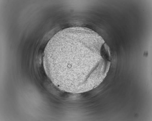 X0000110880334200907161508