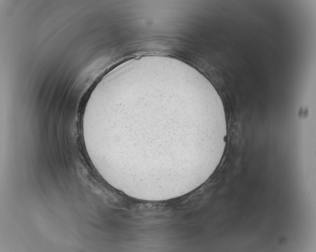 X0000110880338200907161507