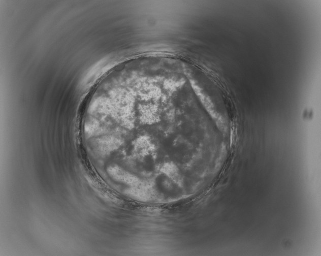 X0000110880339200907161507