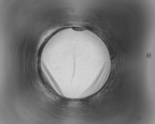 X0000110880342200907161507