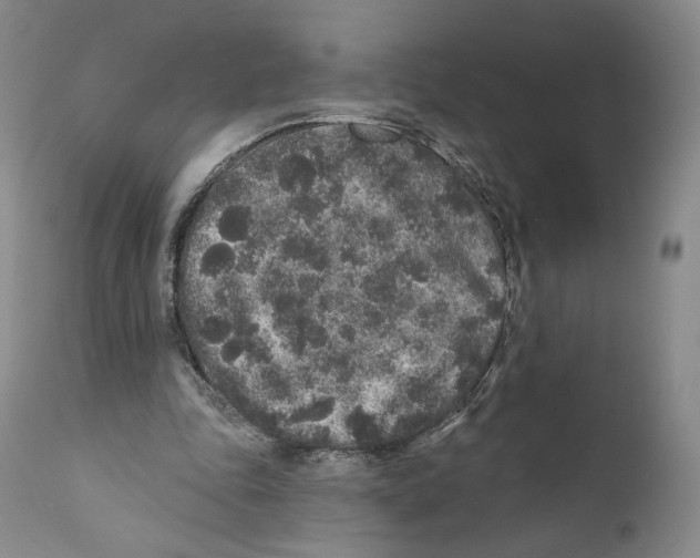 X0000110880343200907161507