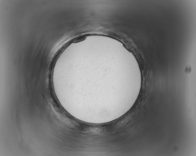 X0000110880344200907161507