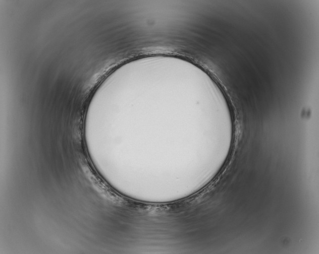 X0000110880345200907161507