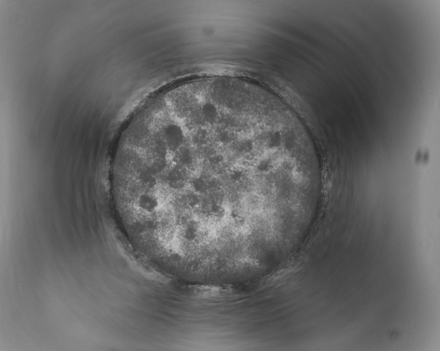 X0000110880347200907161507