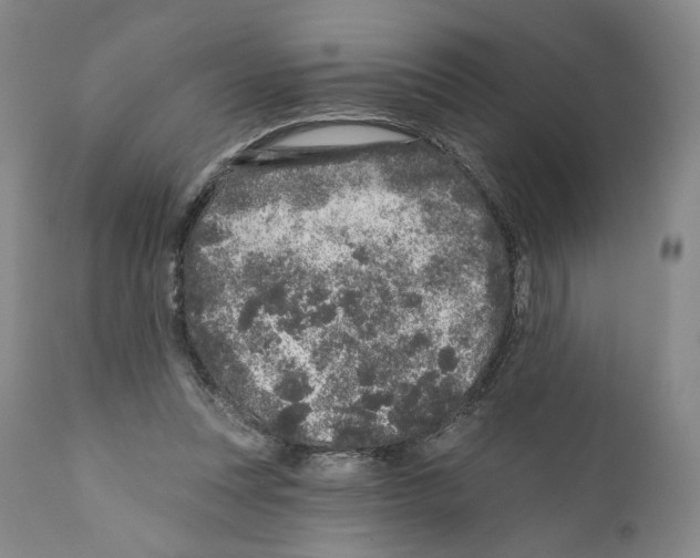 X0000110880351200907161507