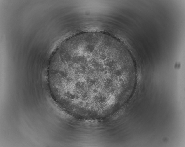 X0000110880353200907161507