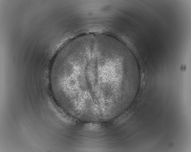 X0000110880354200907161507