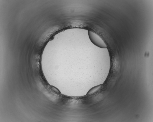 X0000110880356200907161507