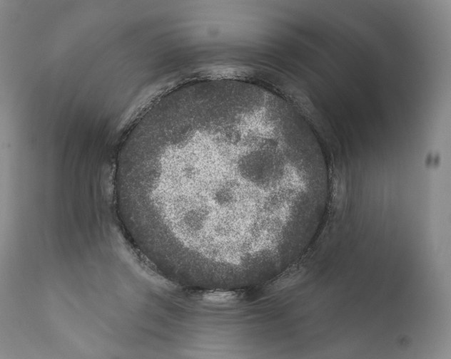 X0000110880357200907161507