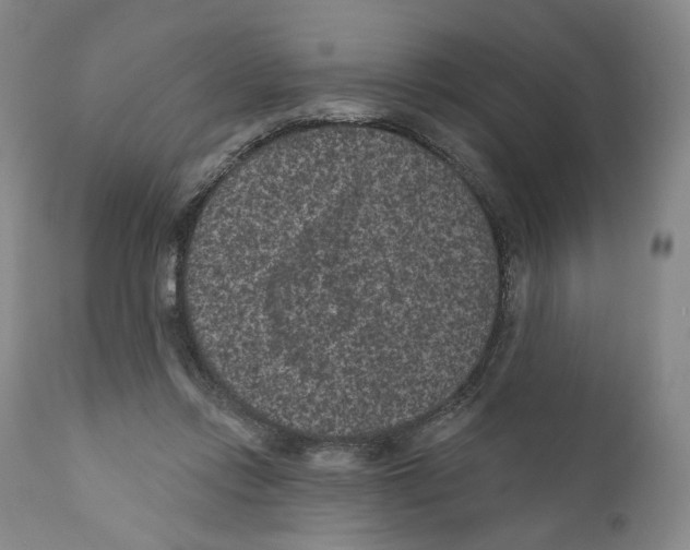 X0000110880358200907161507