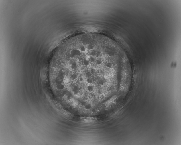 X0000110880359200907161507