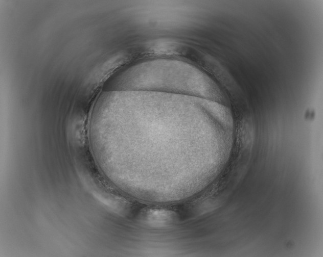 X0000110880360200907161507