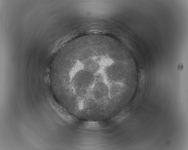 X0000110880361200907161507