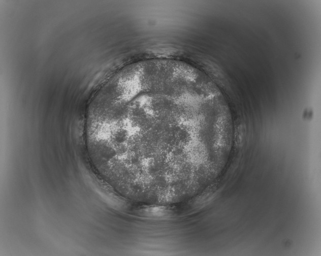 X0000110880365200907161508