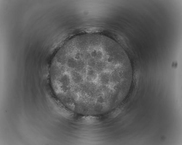 X0000110880367200907161508