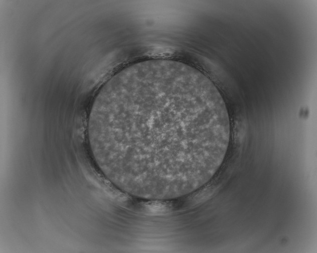 X0000110880370200907161508