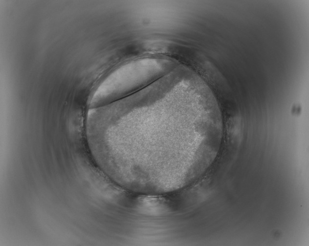 X0000110880372200907161508