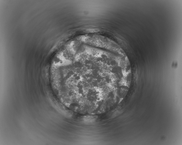 X0000110880373200907161508