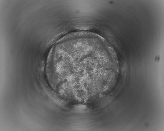 X0000110880374200907161508