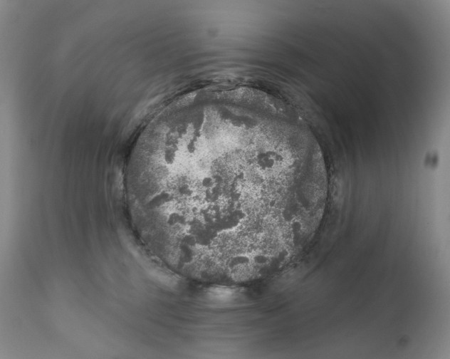 X0000110880375200907161508