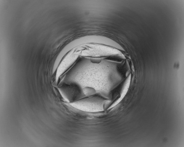 X0000110880376200907161508