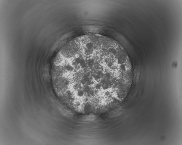 X0000110880377200907161508