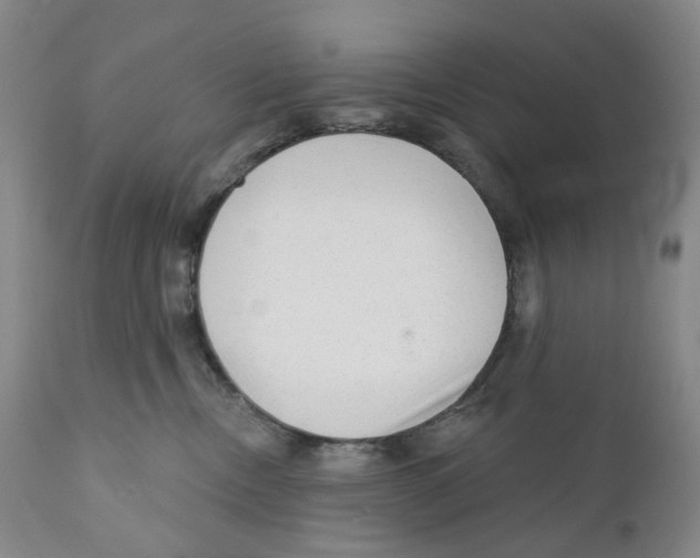 X0000110880378200907161508