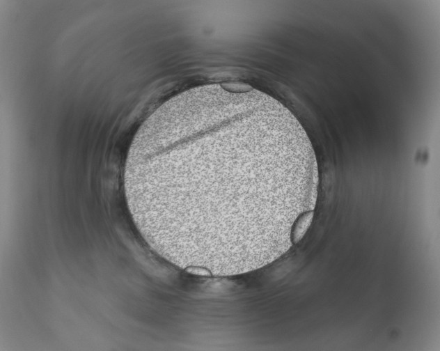 X0000110880379200907161508