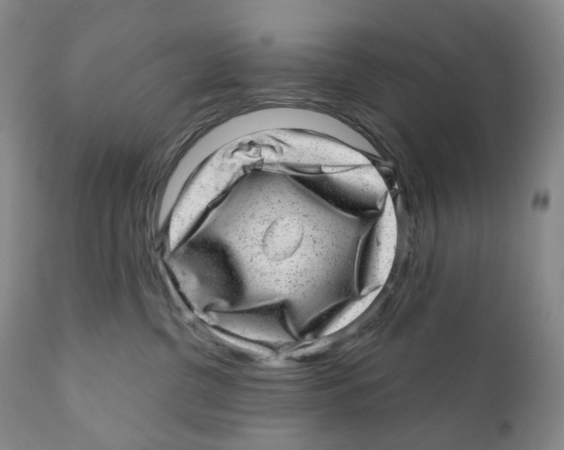 X0000110880380200907161508