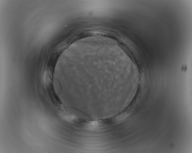 X0000110880382200907161508