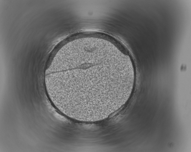 X0000110880385200907161507