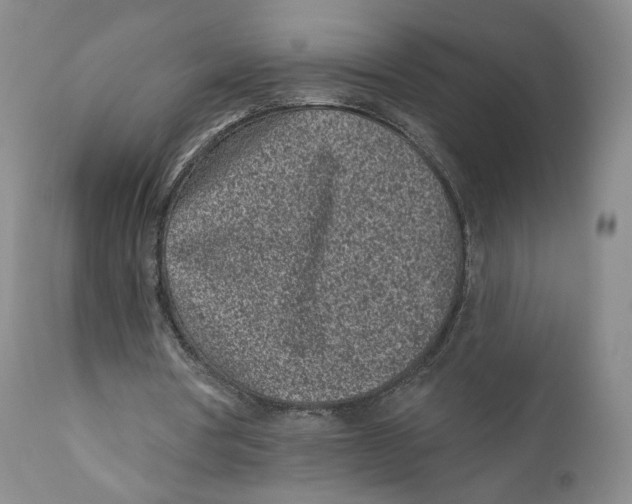 X0000110880386200907161507