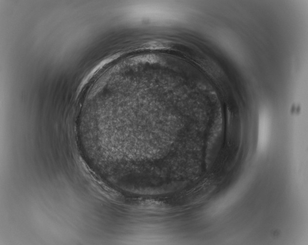 X0000110880387200907161507