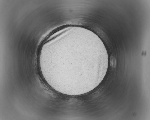 X0000110880388200907161507