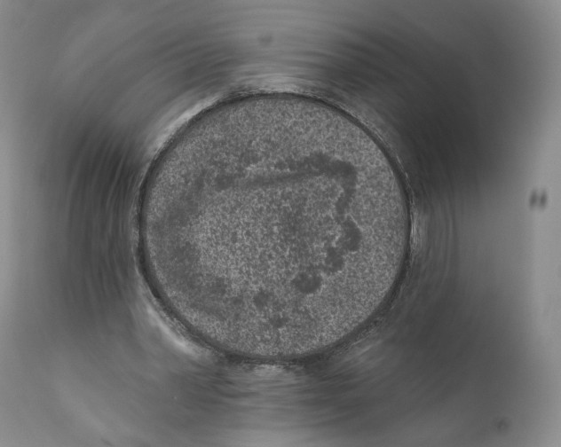 X0000110880390200907161507