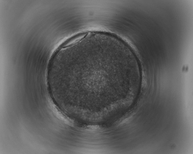 X0000110880391200907161507