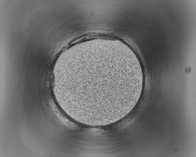 X0000110880393200907161507