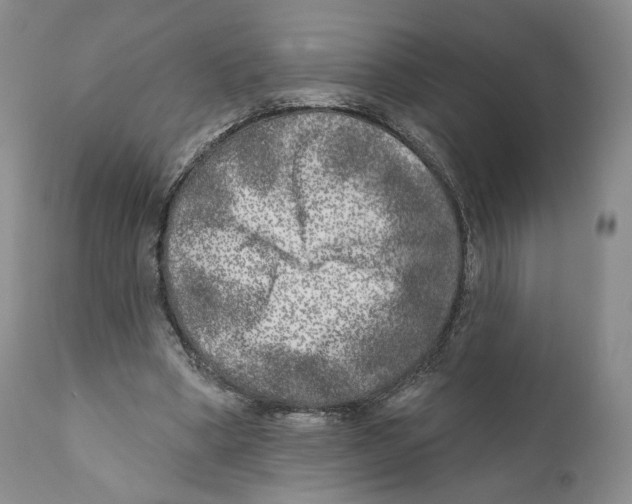 X0000110880394200907161507