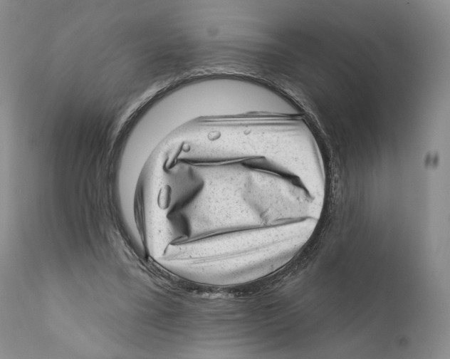 X0000110880395200907161507