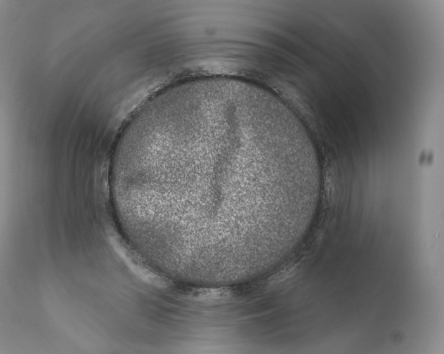 X0000110880398200907161507