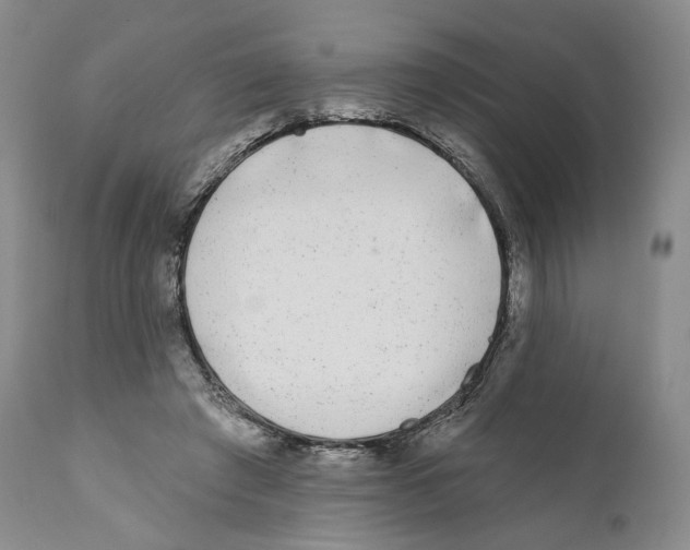 X0000110880401200907161507