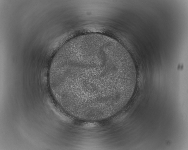 X0000110880402200907161507