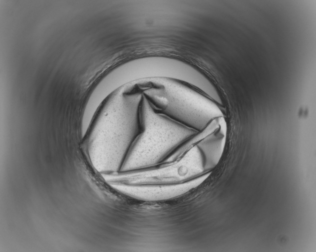 X0000110880405200907161507