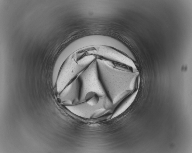 X0000110880409200907161507