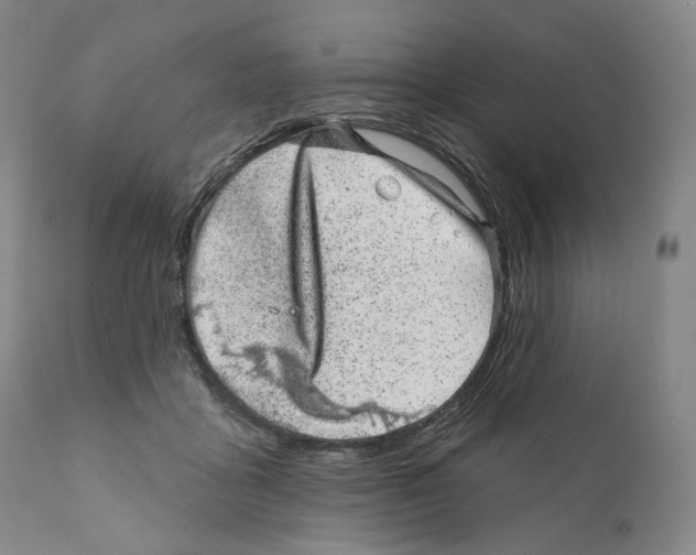 X0000110880411200907161507