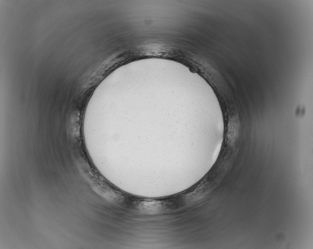 X0000110880413200907161507