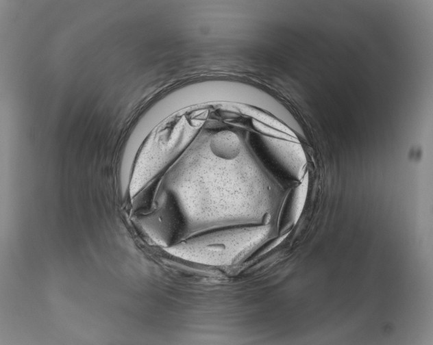 X0000110880415200907161507