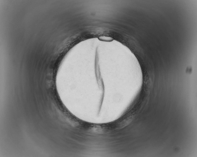 X0000110880416200907161507